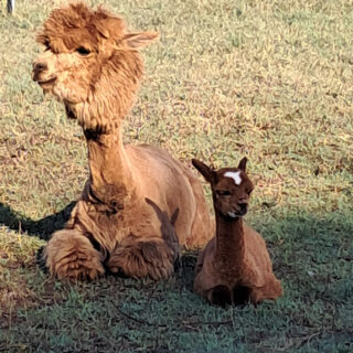 PHOTO-2025-08-22-09-59-19